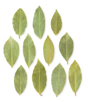 Dried bay leaves isolated on white background.
