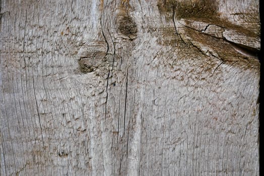 Wood abstract background 