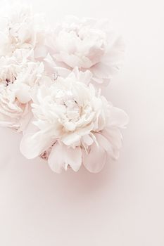 Pastel peony flowers in bloom as floral art background, wedding decor and luxury branding design