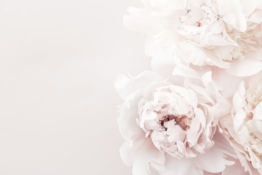 Pastel peony flowers in bloom as floral art background, wedding decor and luxury branding design