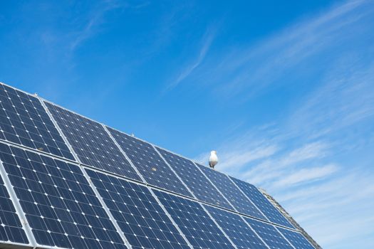 solar cell panel on house's roof, green energy