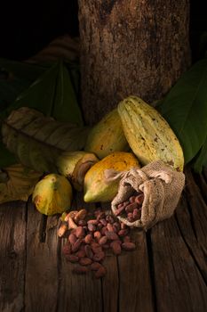 Cacao fruit, raw cacao beans, Cocoa pod on wooden background.