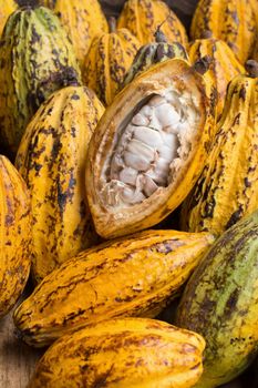 Cacao fruit, raw cacao beans, Cocoa pod on wooden background.