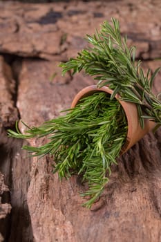 rosemary Herbs and Medicinal herbs. Organic healing herbs. fresh rosemary bunch rosemary on wooden background.