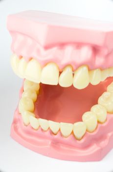 Denture for dental concept on white background