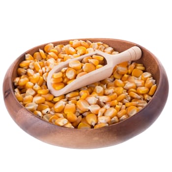 Corn seeds and wooden spoon isolated on a white background.