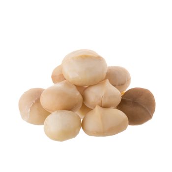 Dried macadamia nut isolated on a white background.