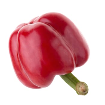 Red pepper shooted isolated on a white background.