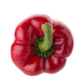 Red pepper shooted isolated on a white background.