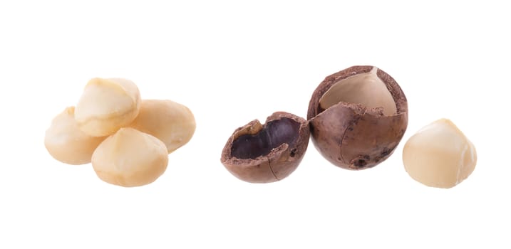 Shelled and unshelled Dried macadamia nut isolated on a white background.