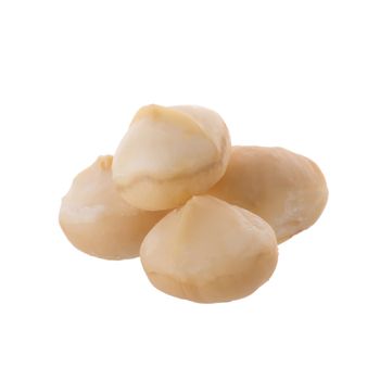 Dried macadamia nut isolated on a white background.
