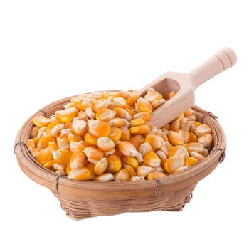 Corn seeds and wooden spoon isolated on a white background.