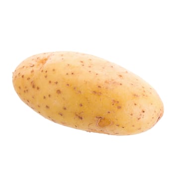 Potato isolated on a white background.