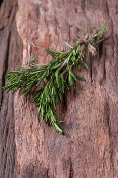 rosemary Herbs and Medicinal herbs. Organic healing herbs. fresh rosemary bunch rosemary on wooden background.