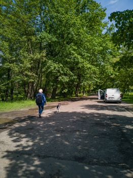 Long path in park between trees and green bushes and man walking with dog