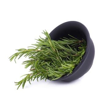 rosemary Herbs and Medicinal herbs. Organic healing herbs. fresh rosemary bunch rosemary isolated on white background