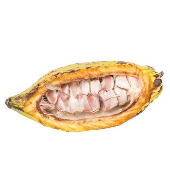 Cacao fruit, raw cacao beans, Cocoa pod isolated on white background.