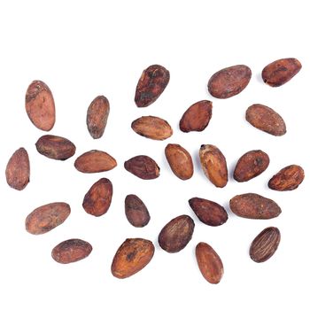 Cacao fruit, raw cacao beans, Cocoa pod isolated on white background.