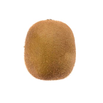 kiwi isolated on white background, top view.