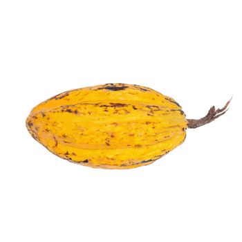 Cacao fruit, raw cacao beans, Cocoa pod isolated on white background.