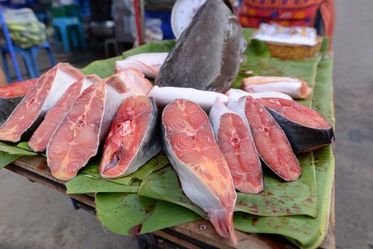 Fresh giant catfish, cut into pieces and put on the market in Thailand.