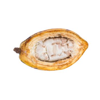 Cacao fruit, raw cacao beans, Cocoa pod isolated on white background.