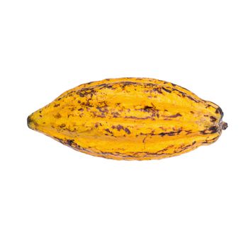 Cacao fruit, raw cacao beans, Cocoa pod isolated on white background.