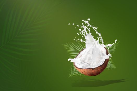 Coconut Milk Splashing isolated on Green background.
