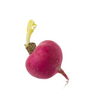 Red fresh radish Vegetable isolated on white background.