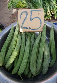 Thai zucchini on a basket on a basket Sold in a rural market in Thailand.