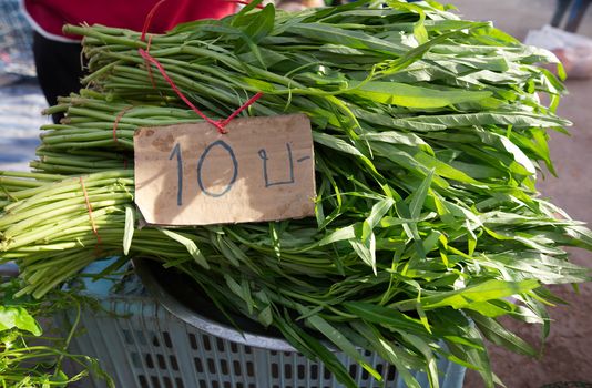 Chinese morning glory is bound in a pile Placed for sale in the rural markets of Thailand.