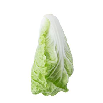 fresh chinese cabbage isolated on a white background.