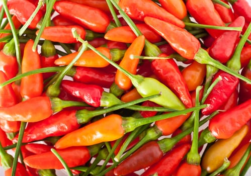 Close up photo of ripe red, green, yellow and orange chillies