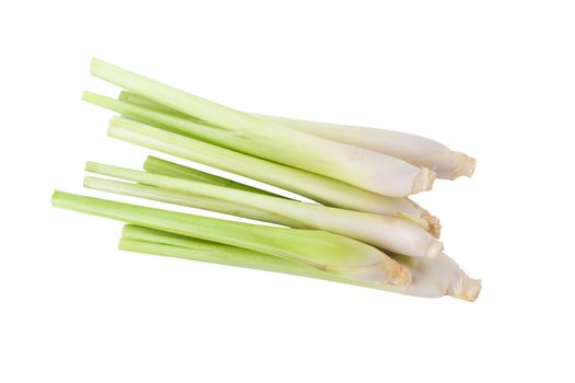 Fresh Lemongrass isolated on white background. Top View.