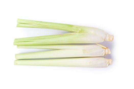 Fresh Lemongrass isolated on white background. Top View.