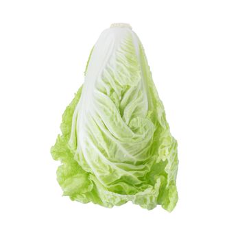 fresh chinese cabbage isolated on a white background.