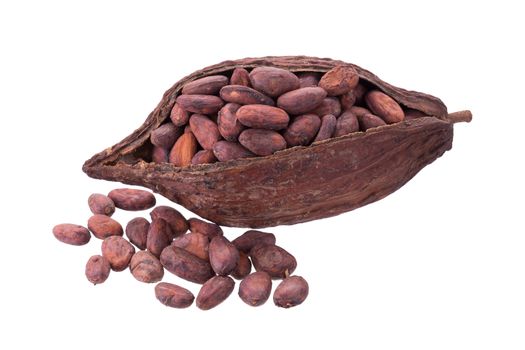 Cacao pods and beans isolated on white background.