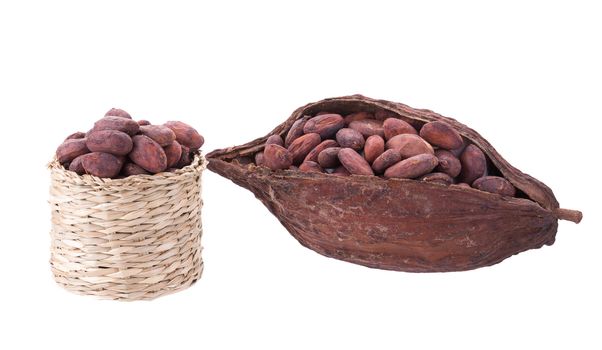 Cacao pods and beans in basket isolated on white background.