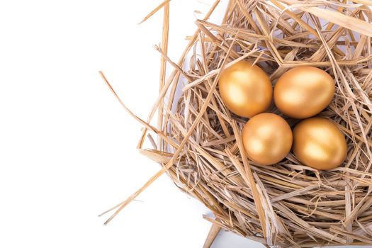 Golden egg inside a nest isolated on white background.