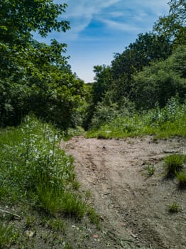 Sandy path crossing at top of the hill in park with trees around