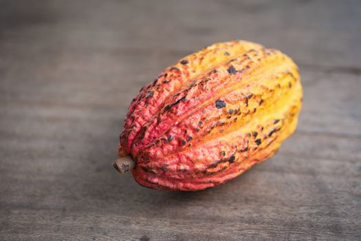 Cacao fruit, raw cacao beans, Cocoa pod on wooden background.