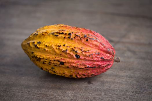 Cacao fruit, raw cacao beans, Cocoa pod on wooden background.