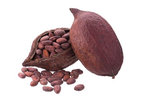 Cacao pods and beans isolated on white background.
