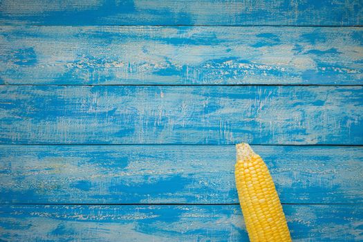 Ripe Corn on a blue wooden table top view.