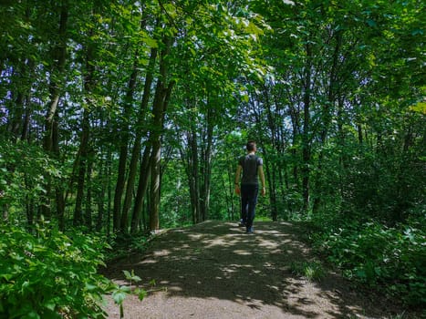 Man in t-shirt at edge of hill in park with thin trees