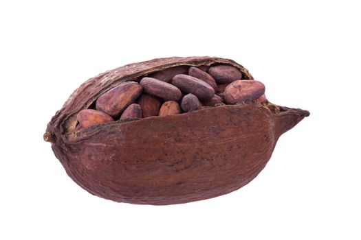 Cacao pods and beans isolated on white background.