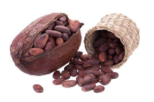 Cacao pods and beans isolated on white background.