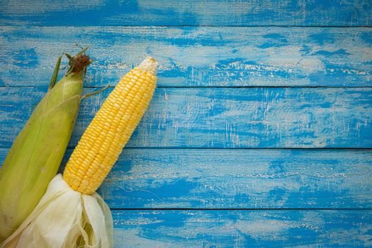 Ripe Corn on a blue wooden table top view.