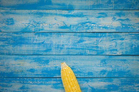 Ripe Corn on a blue wooden table top view.