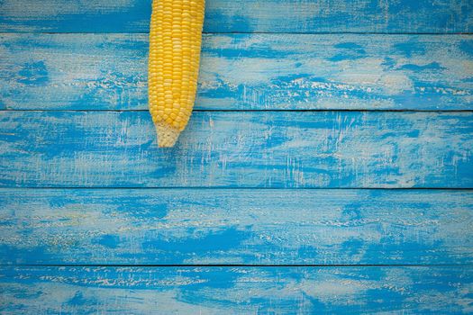 Ripe Corn on a blue wooden table top view.